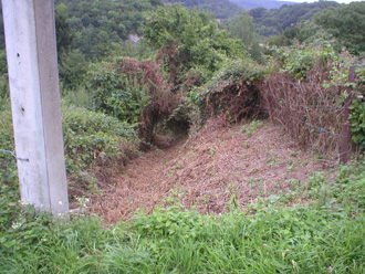 Les tron�onneuses ont commenc� leur travail.