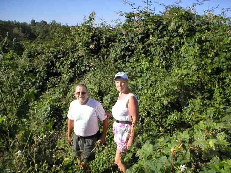 Descente c�t� Robersart