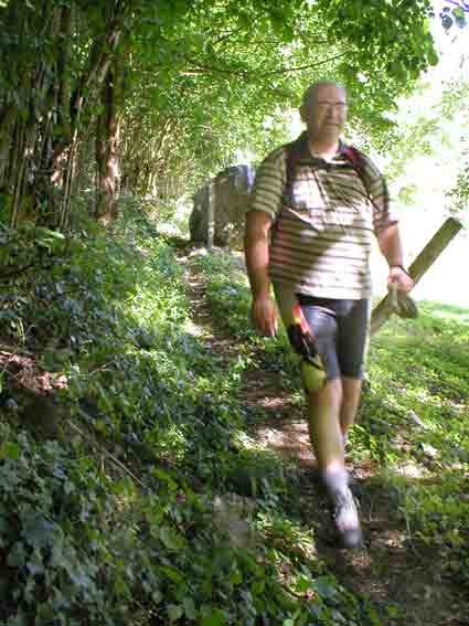 Tout au long du chemin