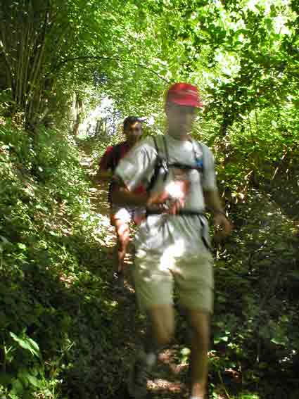 Tout au long du chemin