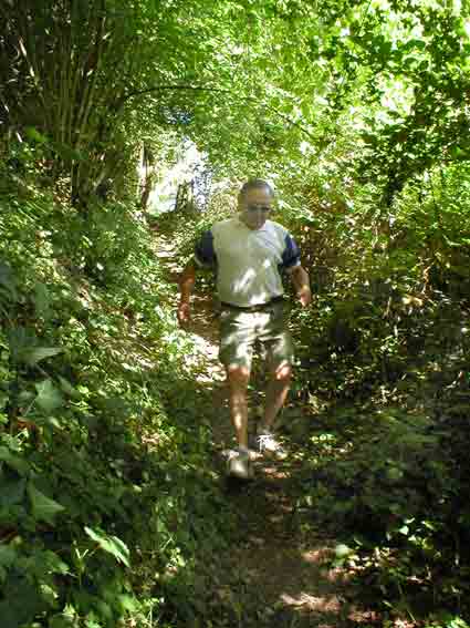 Tout au long du chemin