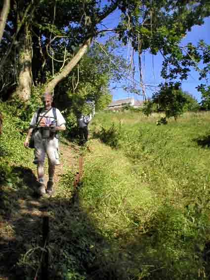 Tout au long du chemin
