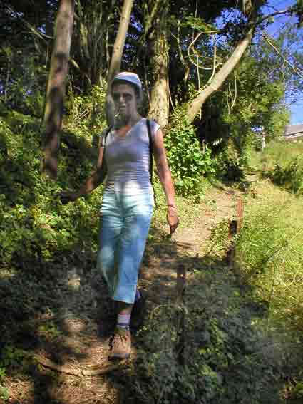 Tout au long du chemin