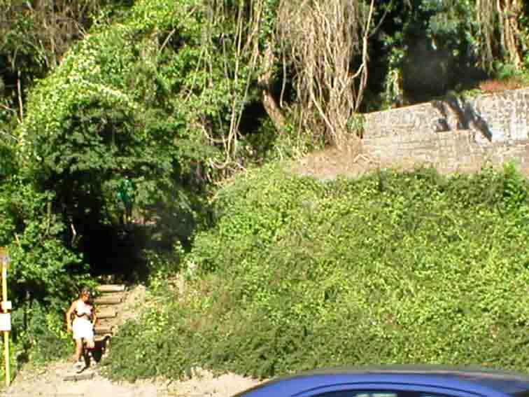 D�but du chemin par le bas (Pr�at).