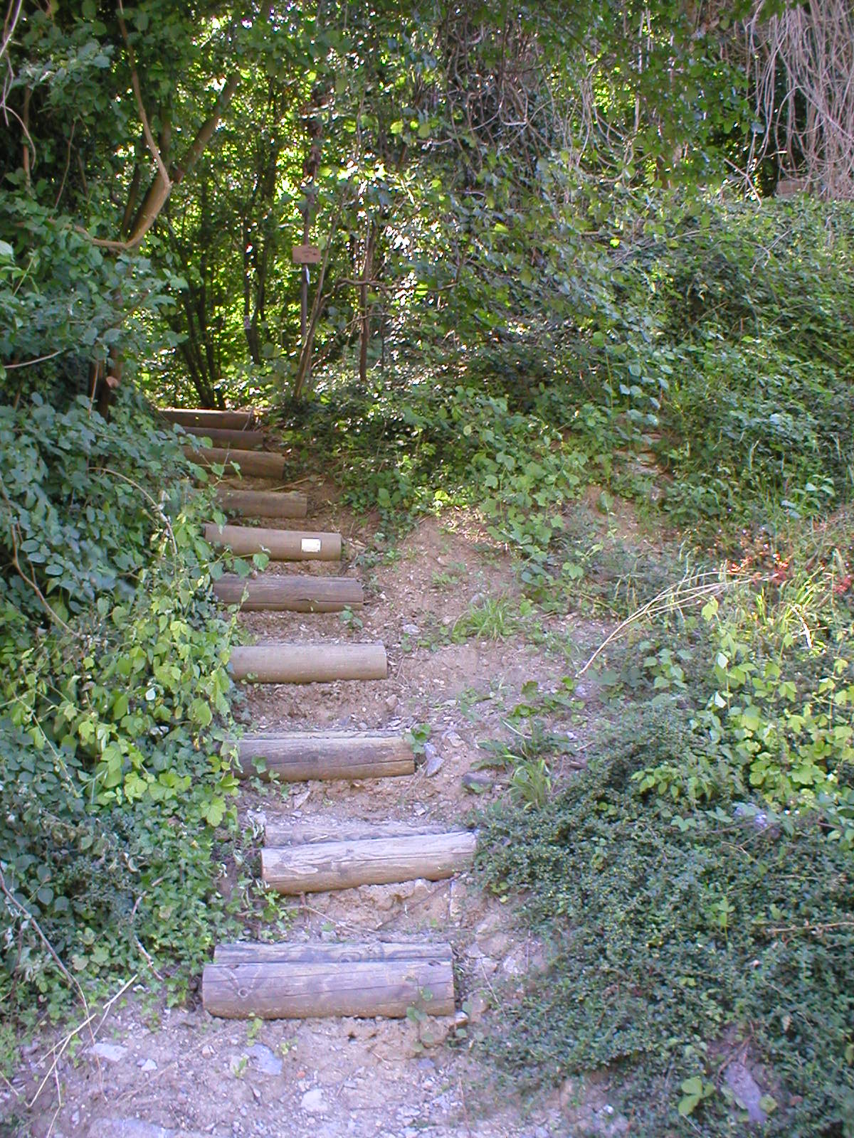 Acc�s au chemin par le bas (Pr�at).