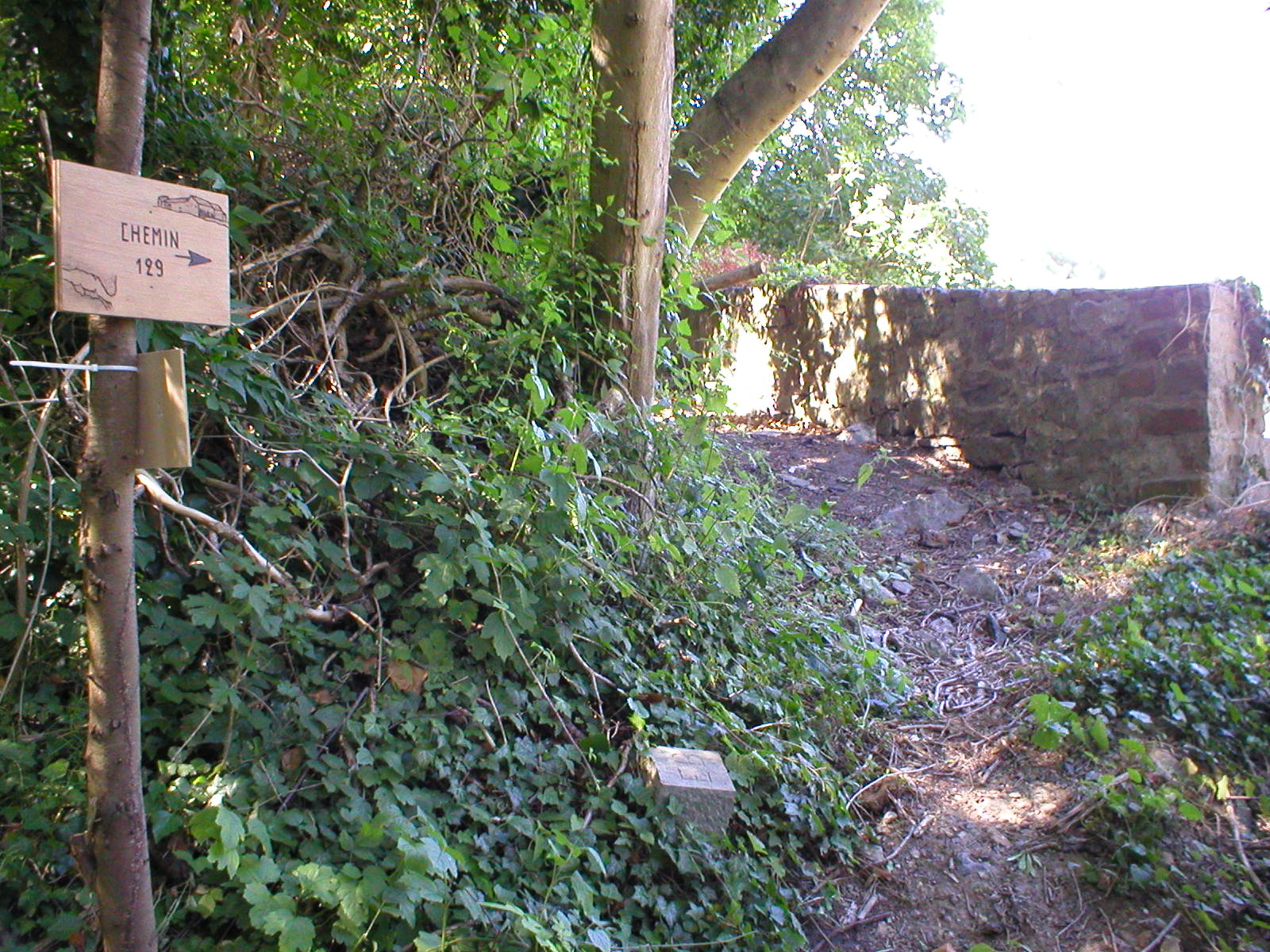 D�but du chemin par le bas (Pr�at).