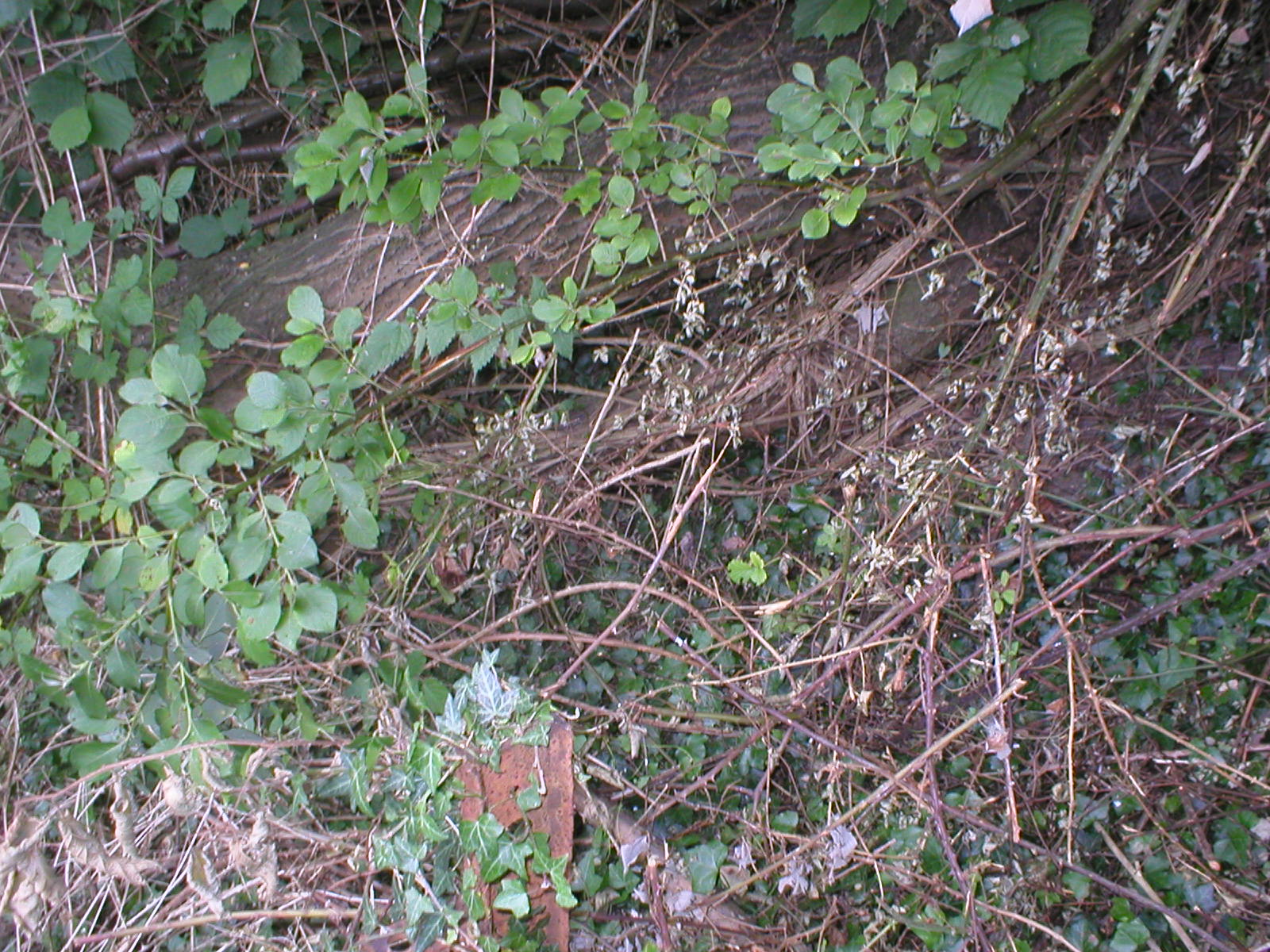 Quasi imp�n�trable