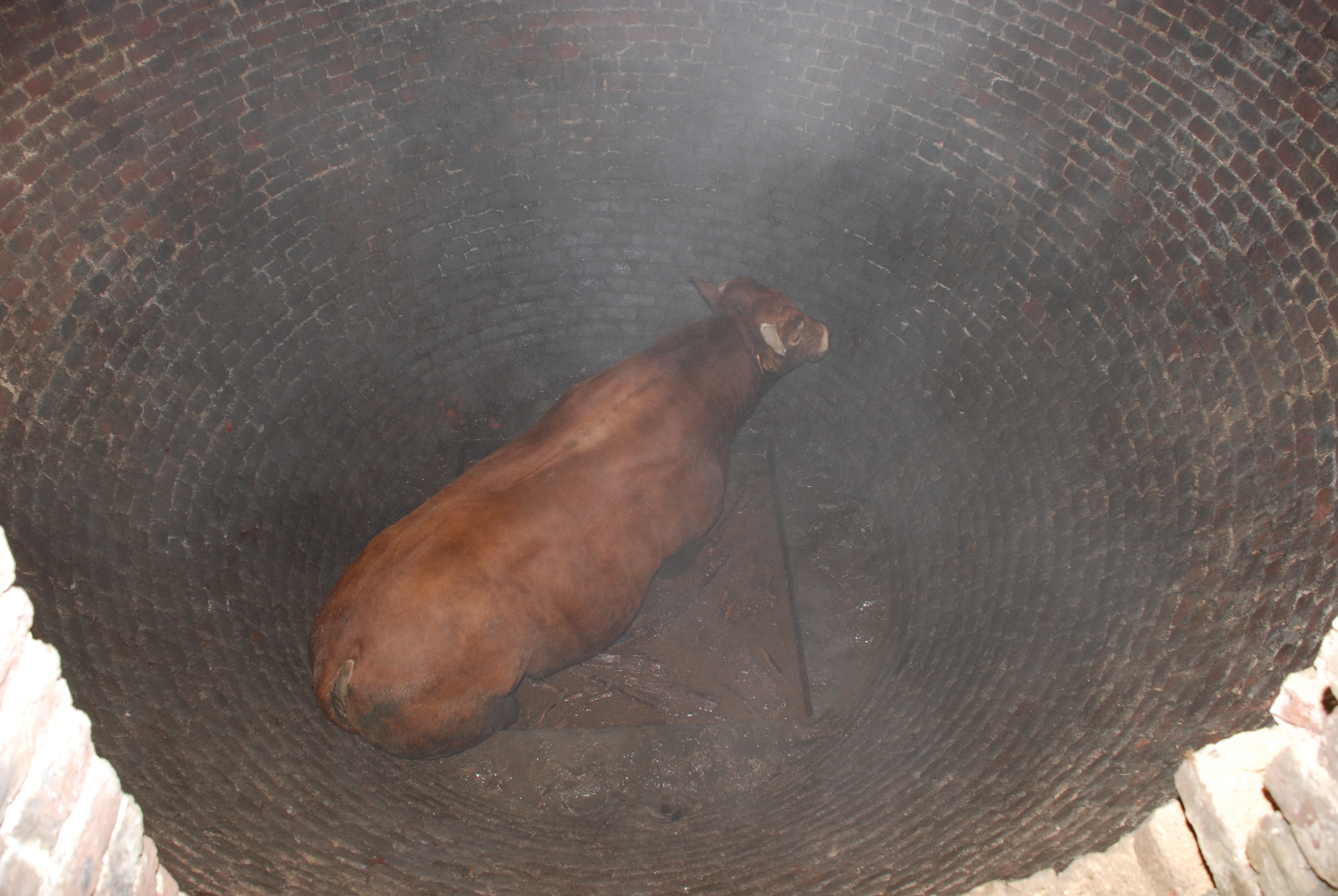 Le taureau dans la glacire de Soye (Floreffe).